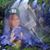 Marcuis Allen's profile image
