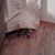 Christina Marie Oberhaus's profile image