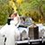 Heather Martensen Gainey's profile image