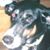 Donna Bowman- Nungesser's profile image