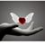 Christine Argus's profile image