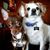Katherine Price's profile image
