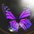 Laura Hodge Czel's profile image