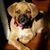 Amy Huesman Tackett's profile image
