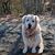 Debbi Darling's profile image