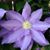 Kristy L. Duffee Turney's profile image