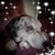Virginia Ziegler Turner's profile image