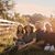 Stephanie Duhon's profile image