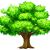Arbor Care Tree Service's profile image