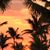 Frank Weisenstein's profile image