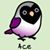 Seph Harrison's profile image