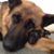 Darlene Hood's profile image