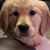 Tammy Armendariz's profile image