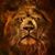 Duncan von Halstern's profile image
