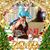 Nancy P. Johnson's profile image