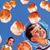 David Williams's profile image