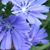 Sharon Downs's profile image