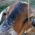 Joshua Gray's profile image