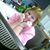 Debby Morgan Rosenmund's profile image