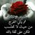 Nour Titi's profile image