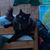 Jenny Nadeau's profile image