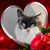 Angela Ponte's profile image