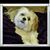 Tracey Clark's profile image