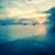 Bonnie Mentzer's profile image