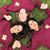 Disha Patil's profile image