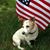 Hidey Russell's profile image
