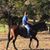 Richard Fine-Brison's profile image
