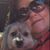 Trish Mashburn Howard's profile image
