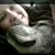 Doreen Degnan's profile image
