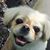 Liz Mendez's profile image