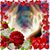 Roxanne Risso-Adorno's profile image