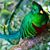 Virgilio Gomez's profile image