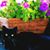Bobbi Et's profile image
