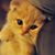 Ted Tedo's profile image