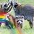 Dawn D Sotir's profile image