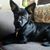 Steve N Kim Fuhr's profile image
