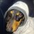 Scott Campbell's profile image