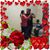 Sandy Zamora's profile image