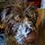 Barbara A Jones's profile image