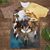 Dale R Conklin's profile image