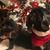 Terri Wise's profile image