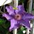 Linda Doubrava Woodward's profile image