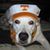 Randy Cloud's profile image
