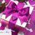 Karla Schuck's profile image
