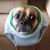 Ryan Brundle's profile image