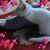 Marilyn Belletti's profile image